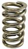 Rimac Medium-Weight Calibrated Test Spring, 50-450 lbs. - image 1