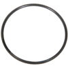 Flywheel Ring Gear GM V8