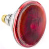 Replacement Flood Lamp 100 Watt - Red - image 1