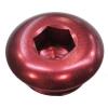 Fuel Inlet Plug Pro Serie - image 1