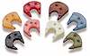 Accelerator Pump Cam Assortment Various Sizes/Colors - image 1