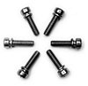 Throttle Body Screws Set of 10 - image 1