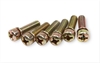 Throttle Body Screws - image 1