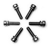 Throttle Body Screws Set of 6 - image 1