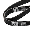 SERPENTINE BELT - image 1