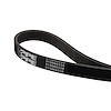 313060335 2011-2023 Ford Mustang 5.0L/5.2L High-Performance Heavy-Duty A/C Serpentine Belt - image 1