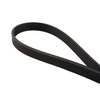 313060335 2011-2023 Ford Mustang 5.0L/5.2L High-Performance Heavy-Duty A/C Serpentine Belt - image 2
