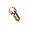 Banjo Bolt 12mm x 1.25 Thread - image 1