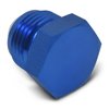 Flare Plug -06 AN - image 2