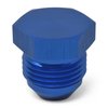 Flare Plug -10 AN - image 3