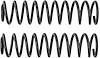 COIL SPRING KIT - image 1