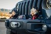 LP4 Pro Bumper Light Kit for 2020-2022 Jeep Gladiator; 2018-2022 Jeep Wrangler JL w/ OE Steel Bumper - image 4