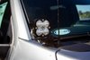 Squadron Pro A-Pillar Light Kit for 2021-2022 Ford F-150 - image 3