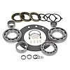 USA Standard 70069 Transfer Case Np271 & Np271 Transfer Case Bearing Kit 1999+ Ford - image 1