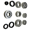 USA Standard M/T BRG & SEAL KIT - image 1