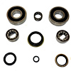 USA Standard M/T BRG & SEAL KIT - image 1