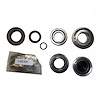 USA Standard M/T BRG & SEAL KIT - image 1