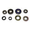 USA Standard M/T BRG & SEAL KIT - image 1
