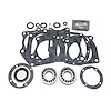 USA Standard M/T BRG & SEAL KIT - image 1