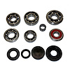USA Standard M/T BRG & SEAL KIT - image 1
