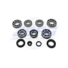 USA Standard M/T BRG & SEAL KIT - image 1