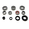 USA Standard M/T BRG & SEAL KIT - image 1
