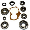 USA Standard M/T BRG & SEAL KIT - image 1