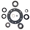 USA Standard T-CASE BRG & SEAL KIT - image 1