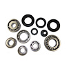 USA Standard 74031 Manual Transmission Bearing Kit, 1988+ Geo Metro 5-Spd - image 1