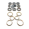 USA Standard M/T BRG & SEAL KIT - image 1