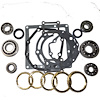 USA Standard M/T BRG & SEAL KIT - image 1