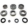 USA Standard M/T BRG & SEAL KIT - image 1