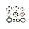 USA Standard M/T BRG & SEAL KIT - image 1