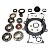 USA Standard M/T BRG & SEAL KIT - image 1
