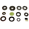 USA Standard M/T BRG & SEAL KIT - image 1