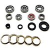 USA Standard M/T BRG & SEAL KIT - image 1