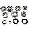 USA Standard M/T BRG & SEAL KIT - image 1