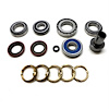 USA Standard M/T BRG & SEAL KIT - image 1
