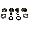 USA Standard M/T BRG & SEAL KIT - image 1