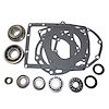 USA Standard M/T BRG & SEAL KIT - image 1