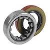 Rear Axle Bearing and Seal Kit 1964-2002 Chevy