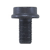 C198 Ring Gear Bolt. - image 1
