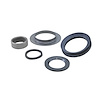 Spindle Bearing & Seal Kit For Dana 44 Ifs - image 1