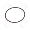 O-Ring - image 1