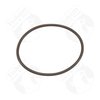 O-Ring - image 2