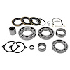 USA Standard ZTBK485C Transfer Case Np271 & Np273 Bearing Kit GM - image 1