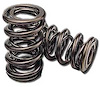 Valve Spring - Dual Small Block Chevy - image 1