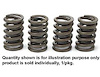 Valve Spring - Dual Big Block Chevy LS6 - image 1