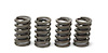Valve Spring - Single w/ Dampener Outside Diameter: 1.273" - image 1