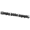 CAMSHAFT-HYD FLAT TAPPET - image 1